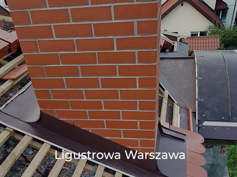 Ligustrowa-Warszawa-4