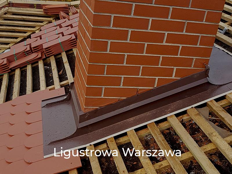 Ligustrowa-Warszawa-5