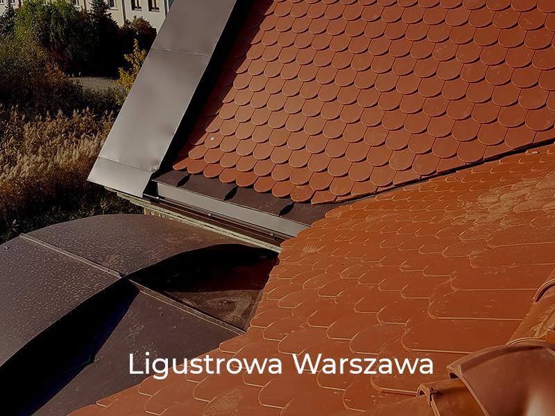 Ligustrowa-Warszawa-7
