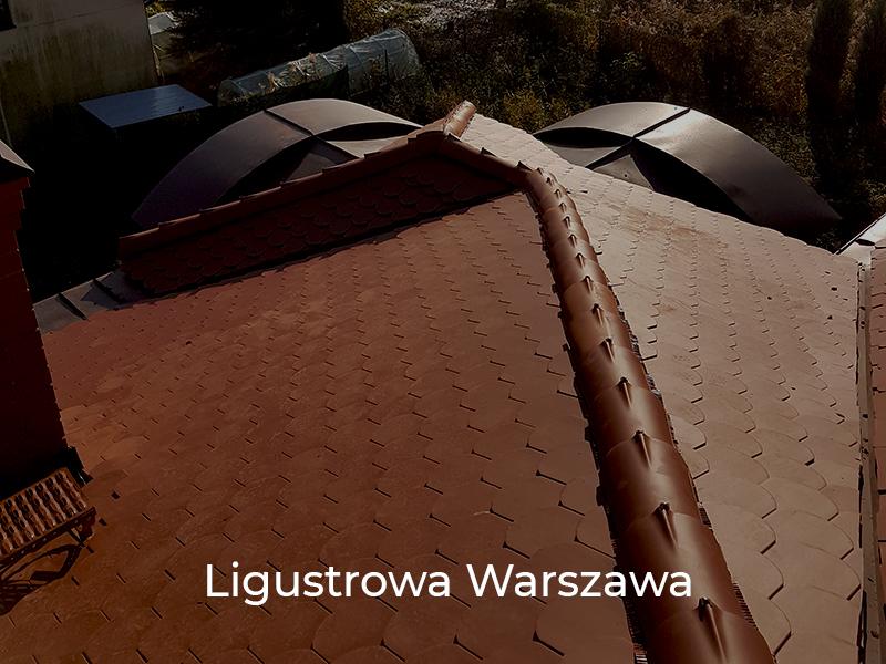 Ligustrowa-Warszawa-8