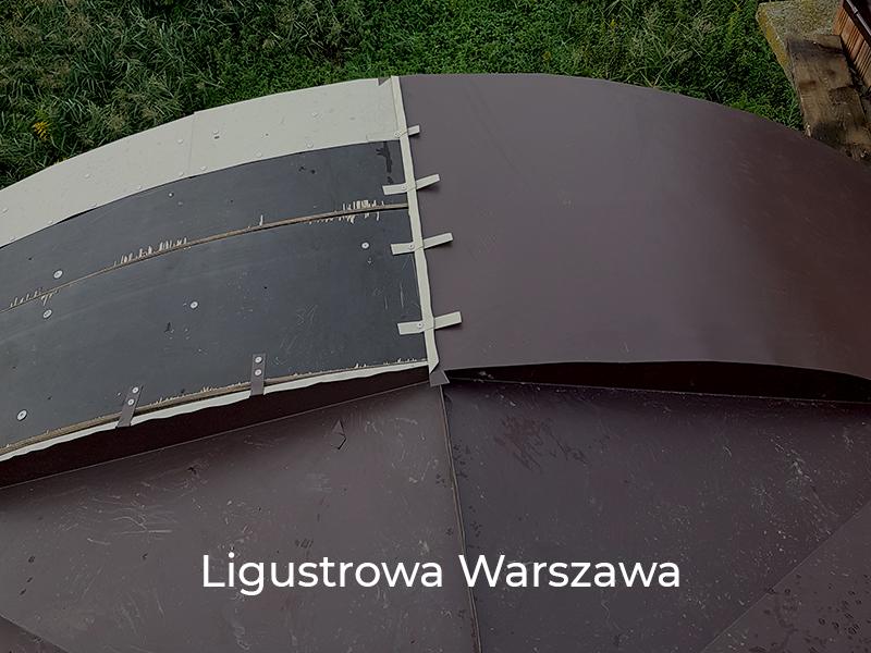 Ligustrowa-Warszawa-6