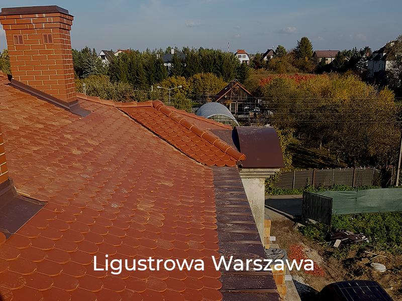 Ligustrowa-Warszawa-9